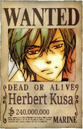 Herbert's Wanted Poster